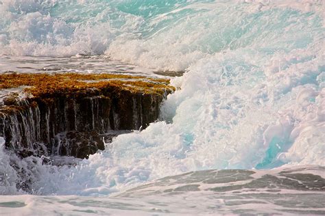 Surf and Seaweed Hawaii Photograph by Venetia Featherstone-Witty - Pixels