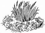 Flowerbed coloring pages To Download And Print For Free sketch template
