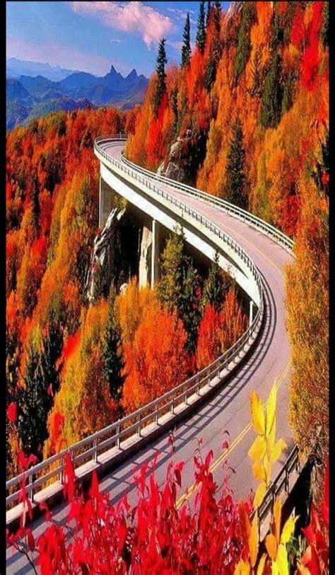 Pin by Terri OBrate on Amazing | Beautiful roads, Blue ridge parkway, Beautiful places