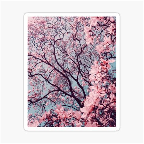 "Cherry Blossom Tree" Sticker for Sale by redbubblesireen | Redbubble