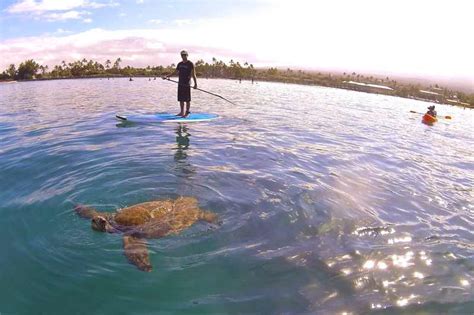 Wailea Beach Activities