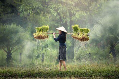 Cambodia Facts for Kids | Country of Kampuchea