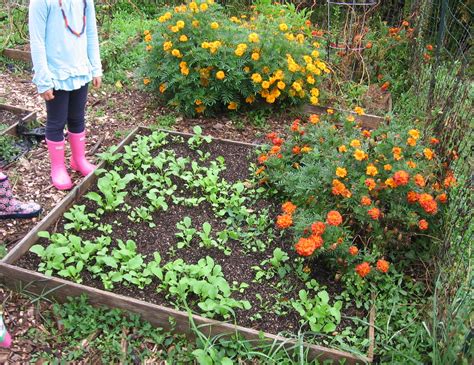 Sustainable Gardening at School | Sustainable Choices