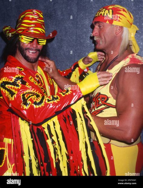 1994 Randy Savage Hulk Hogan Photo by John Barrett/PHOTOlink Stock ...