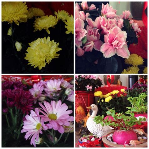 Flowers for CNY! | Chinese new year, Flowers, Plants