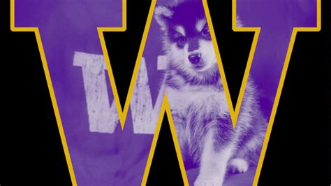 University of Washington Mascot Dubs' Slide Show - YouTube