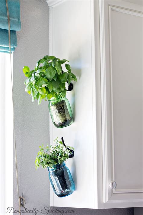 Tips for Growing Indoor Herbs - Top Dreamer