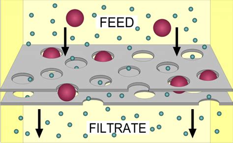 What Is Filtration? Definition and Processes