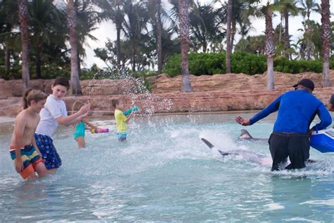 Rise and Shine with Dolphins at Atlantis Bahamas - Unforgettable!