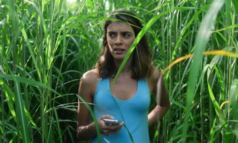 In The Tall Grass Review: A Weak Stephen King Adaptation