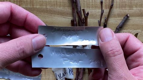 DIY - Easy long lasting embossed aluminum plant labels / tree tags - YouTube