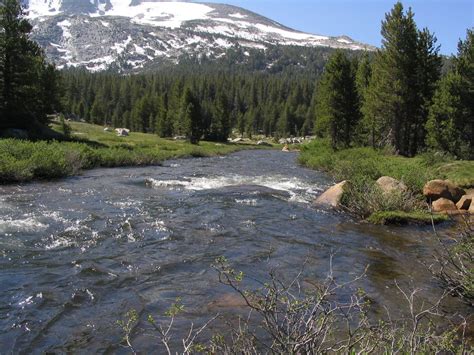 Tuolumne River, Tuolumne Meadows, Yosemite National Park, … | Flickr