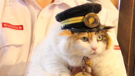 Meet Nitama, new stationmaster at Japan's Kishi Station | CNN Travel