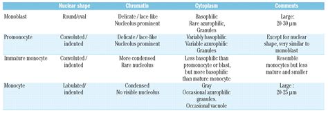 Morphological evaluation of monocytes and their precursors | Haematologica