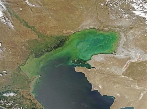 Phytoplankton bloom in the Volga River in Russia - Earth.com