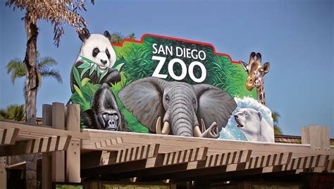 San Diego Zoo Discount Tickets | San diego zoo, Diego, San diego