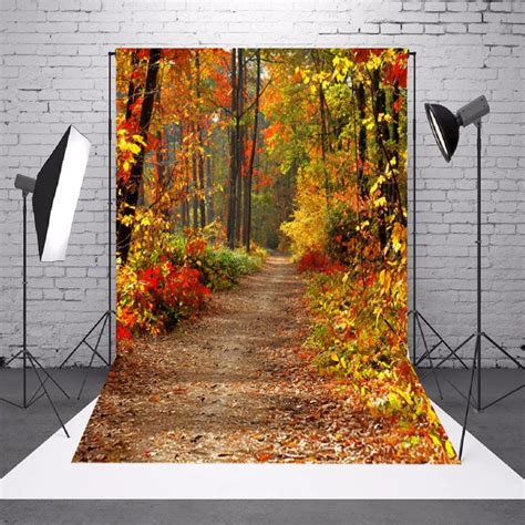 Aliexpress.com : Buy Vinyl Photography Backdrop 5X7FT Autumn Deciduous Landscape Fall Forest ...