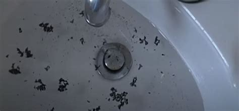 How to Remove Black Sludge from Sink Drain Fast! - Plumbing Sniper