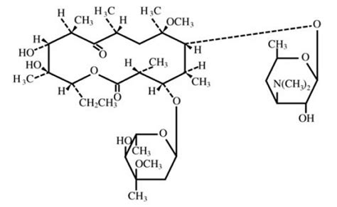 Biaxin, Biaxin XL (Clarithromycin): Uses, Dosage, Side Effects, Interactions, Warning