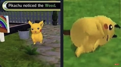 Happy Pikachu : meme