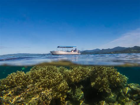 Snorkeling Cruise Ship Guests Fiji/Ocean Ventures Fiji/Savusavu, Fiji