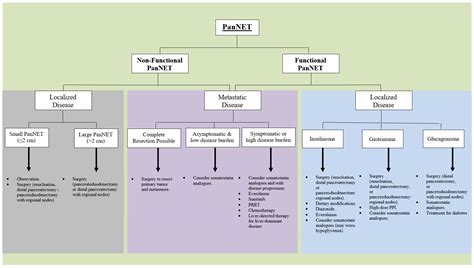 Cancers | Free Full-Text | Treatment Options for Pancreatic Neuroendocrine Tumors