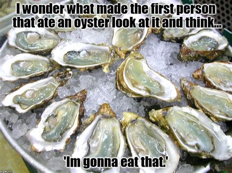 Oysters - Imgflip