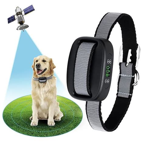 Best Wireless Dog Fence For Large Dogs [Sep 2024]: Top 5 Picks