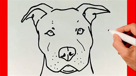 Dibujos De Perros Pitbull Para Colorear Dibujos De Perros Para Colorear A Lapiz Y Faciles