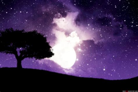 Starlit Night - Fantasy & Abstract Background Wallpapers on Desktop Nexus (Image 849025)