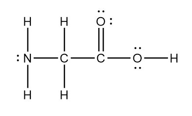 Draw the electron (Lewis) dot structure of glycine. | Quizlet