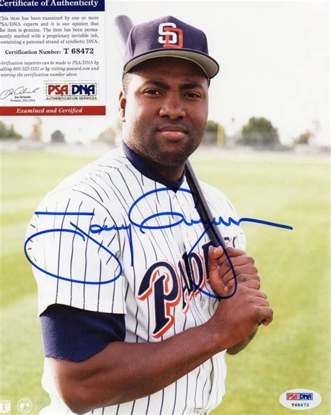 Tony Gwynn Cards and Memorabilia Buying Guide