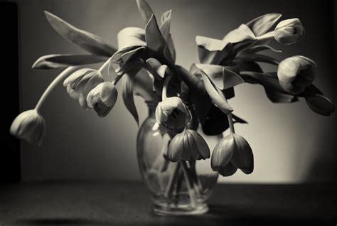 Tousled Tulips Glass Vase | Tony Takitani | Flickr