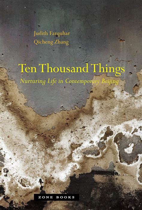 Ten Thousand Things: Nurturing Life in Contemporary Beijing (Mit Press ...