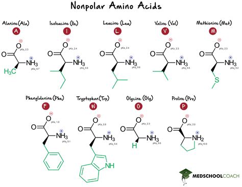 Amino Acid Structure Chart Polar Nonpolar