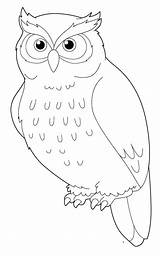 Snowy Owl Coloring Pages To Print sketch template