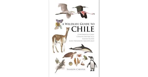 A Wildlife Guide to Chile | Princeton University Press