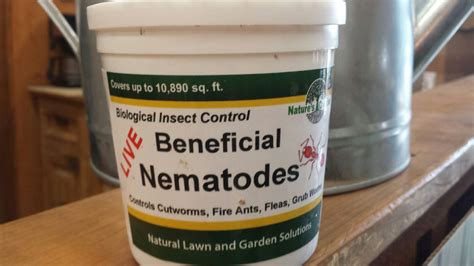 Beneficial Nematodes :: Lochte Feed & General Store