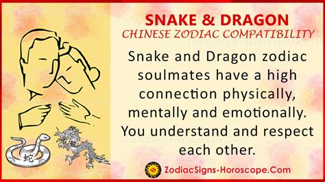 Snake and Dragon Chinese Zodiac Compatibility: Love and Relationship