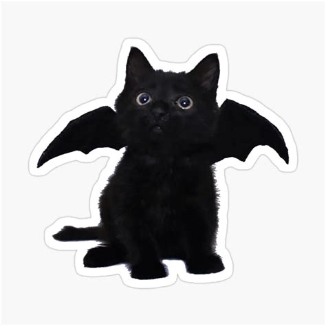 Black Kitten With Bat Wings Poster | ubicaciondepersonas.cdmx.gob.mx