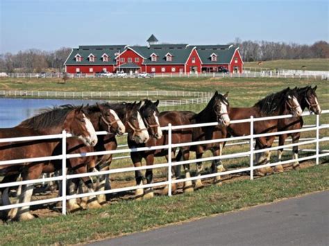 Warm Springs Ranch | Boonville Tourism