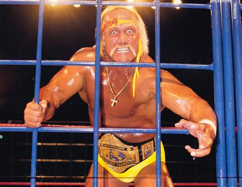 Hulk hogan jail racist – BlackSportsOnline