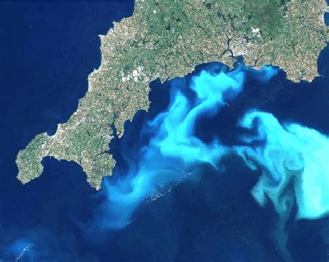 4 Satellite picture of an algal bloom. Algae bloom off the southern ...