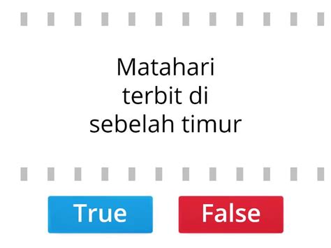 Perbedaan siang dan malam - True or false