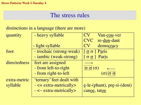 PPT - Stress patterns in English words PowerPoint Presentation, free ...