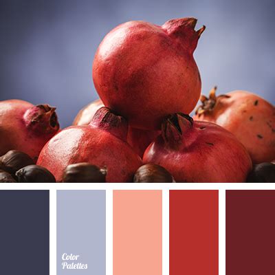 colour of pomegranate | Color Palette Ideas