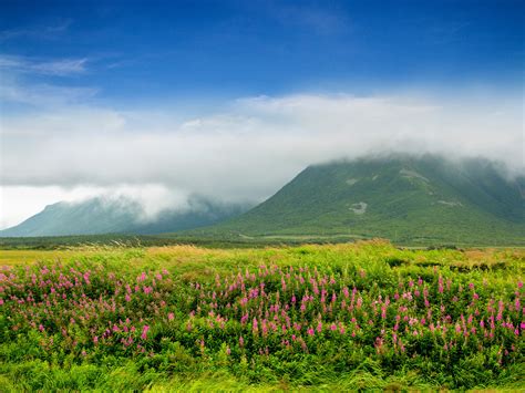 Climate & Weather - Newfoundland and Labrador, Canada