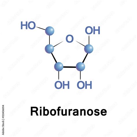 Vektorová grafika „Ribose is a carbohydrate and a pentose ...