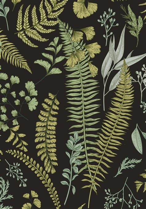 Dark botanical, vintage fern HD phone wallpaper | Pxfuel