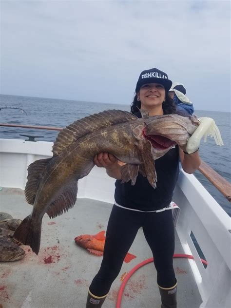 Fish Report - Quality Fishing! - Ventura Sportfishing